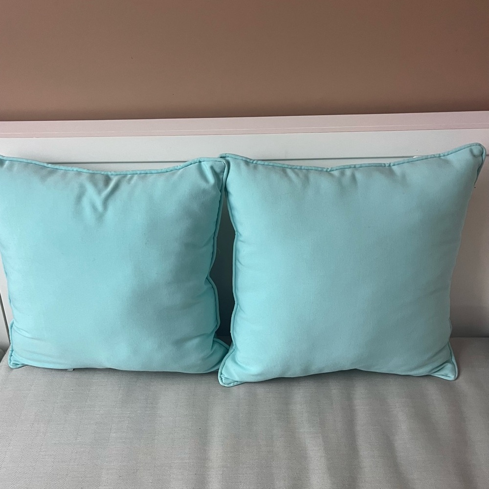 Throw Pillows
